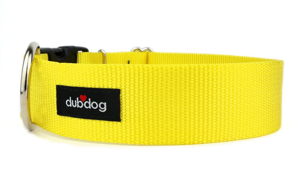 Simply Yellow Collar