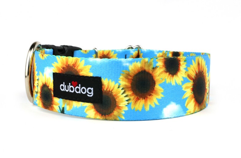 Sunflowers Collar