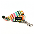 Sunny Leash