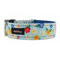 Tropical Paws Collar