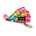 Tula Leash