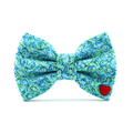 Vinny Bow Tie
