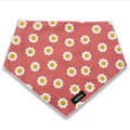 Winnie Bandana