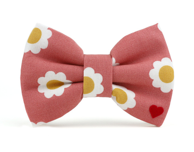 Winnie Bow Tie