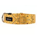 Yellow dana collar